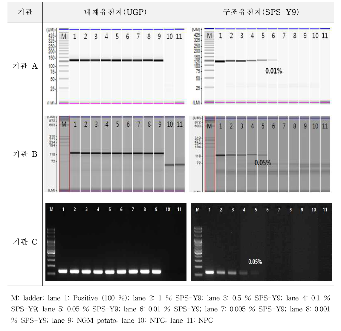 유전자변형 감자 SPS-Y9에 대한 시험법의 민감도 1차 시험 결과(cPCR)