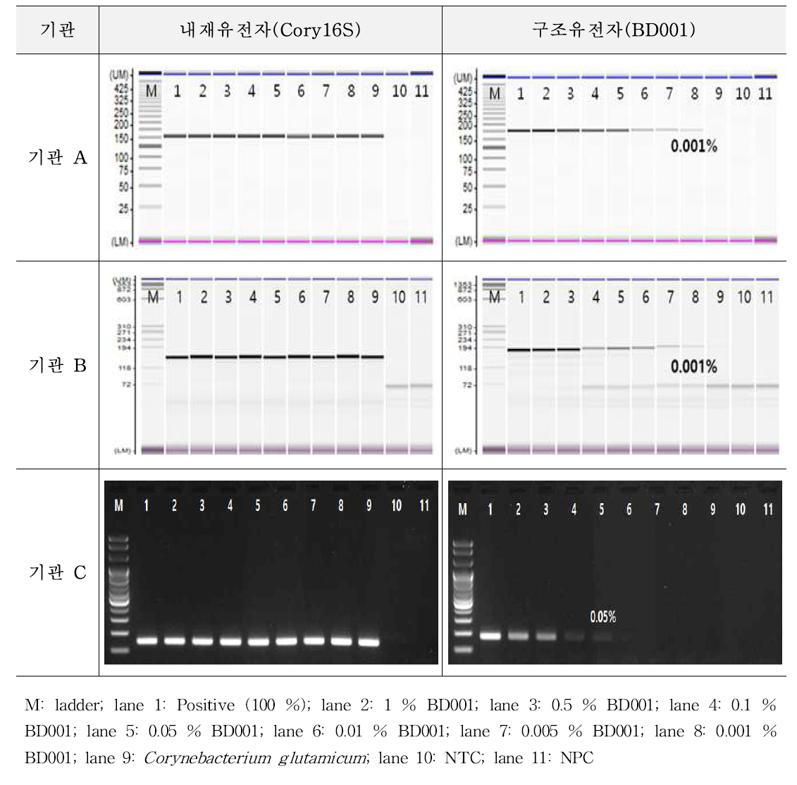 유전자변형 미생물 BD001에 대한 시험법의 민감도 1차 시험 결과