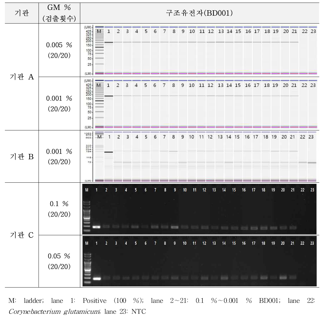 유전자변형 미생물 BD001에 대한 시험법의 민감도 반복 시험 결과