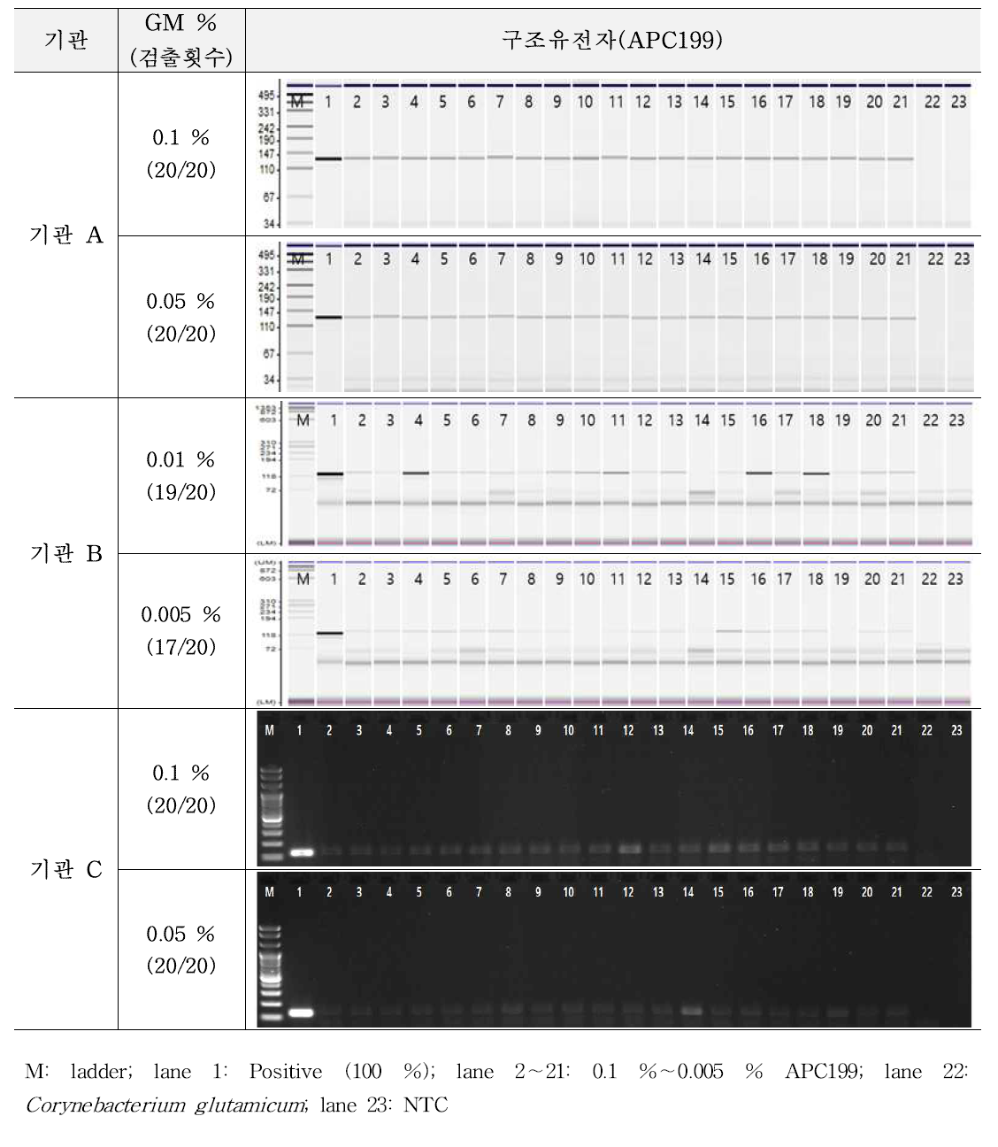 유전자변형 미생물 APC199에 대한 시험법의 민감도 반복 시험 결과