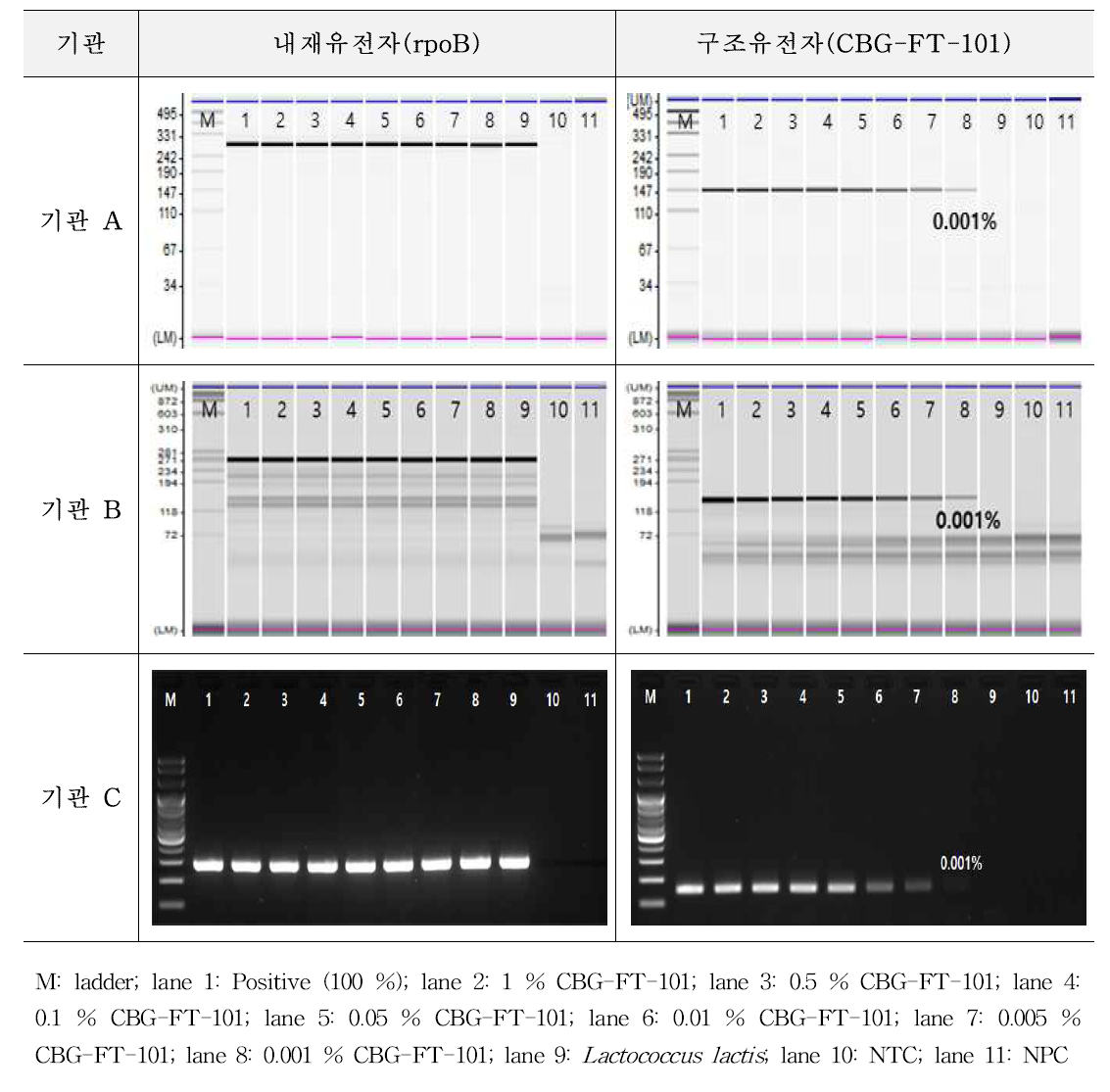 유전자변형 미생물 CBG-FT-101에 대한 시험법의 민감도 1차 시험 결과