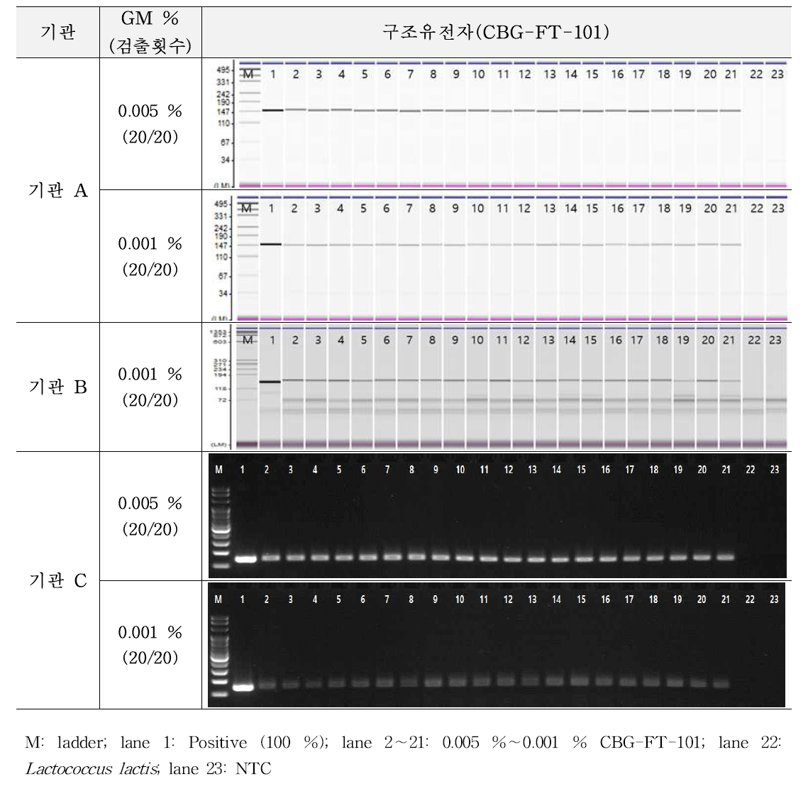 유전자변형 미생물 CBG-FT-101에 대한 시험법의 민감도 반복 시험 결과