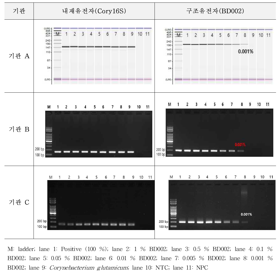 유전자변형 미생물 BD002에 대한 시험법의 민감도 1차 시험 결과