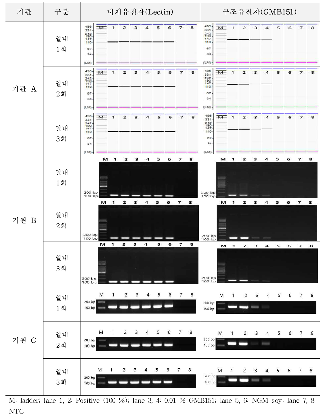 유전자변형 콩 GMB151에 대한 시험법의 반복성 시험 결과