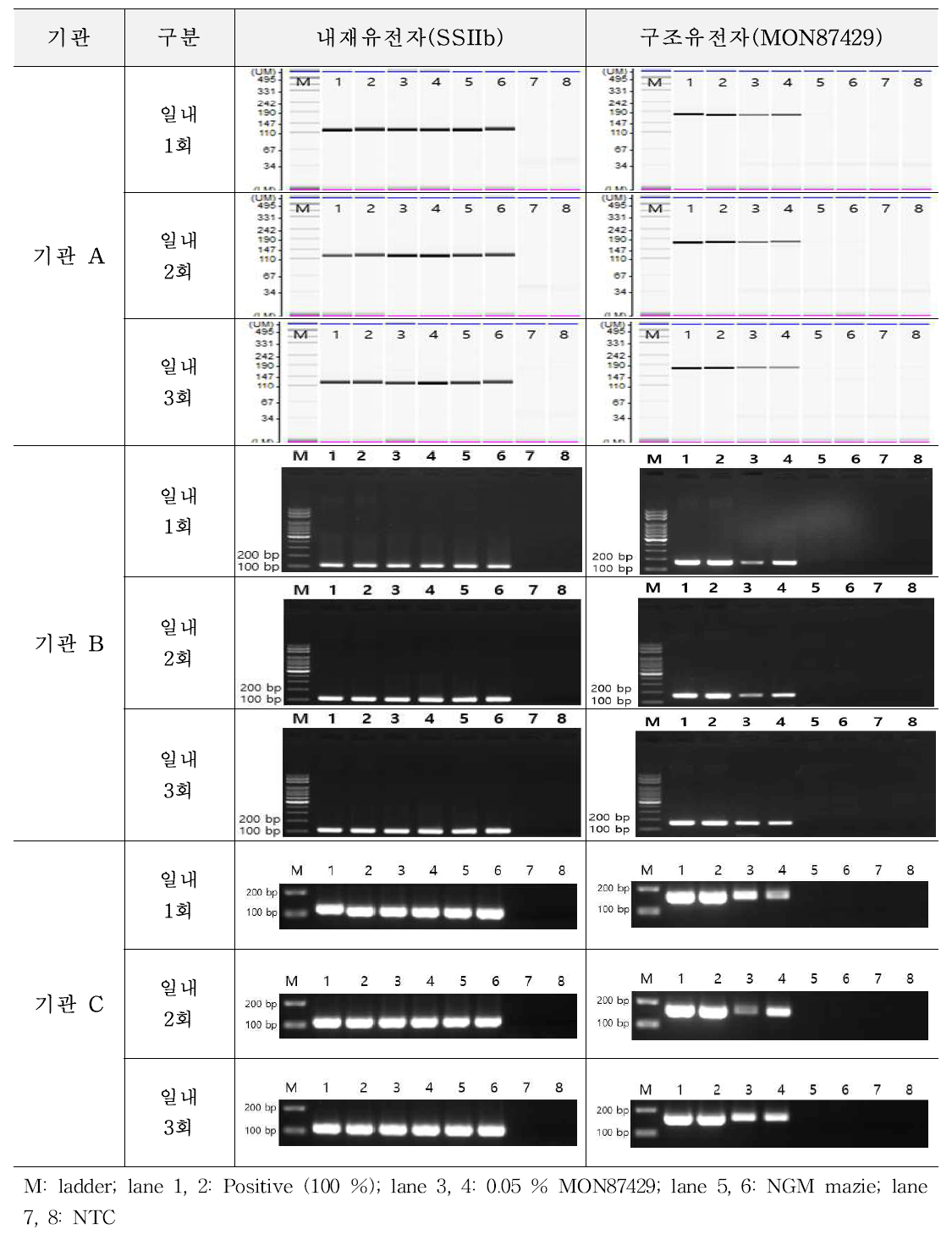 유전자변형 옥수수 MON87429에 대한 시험법의 반복성 시험 결과