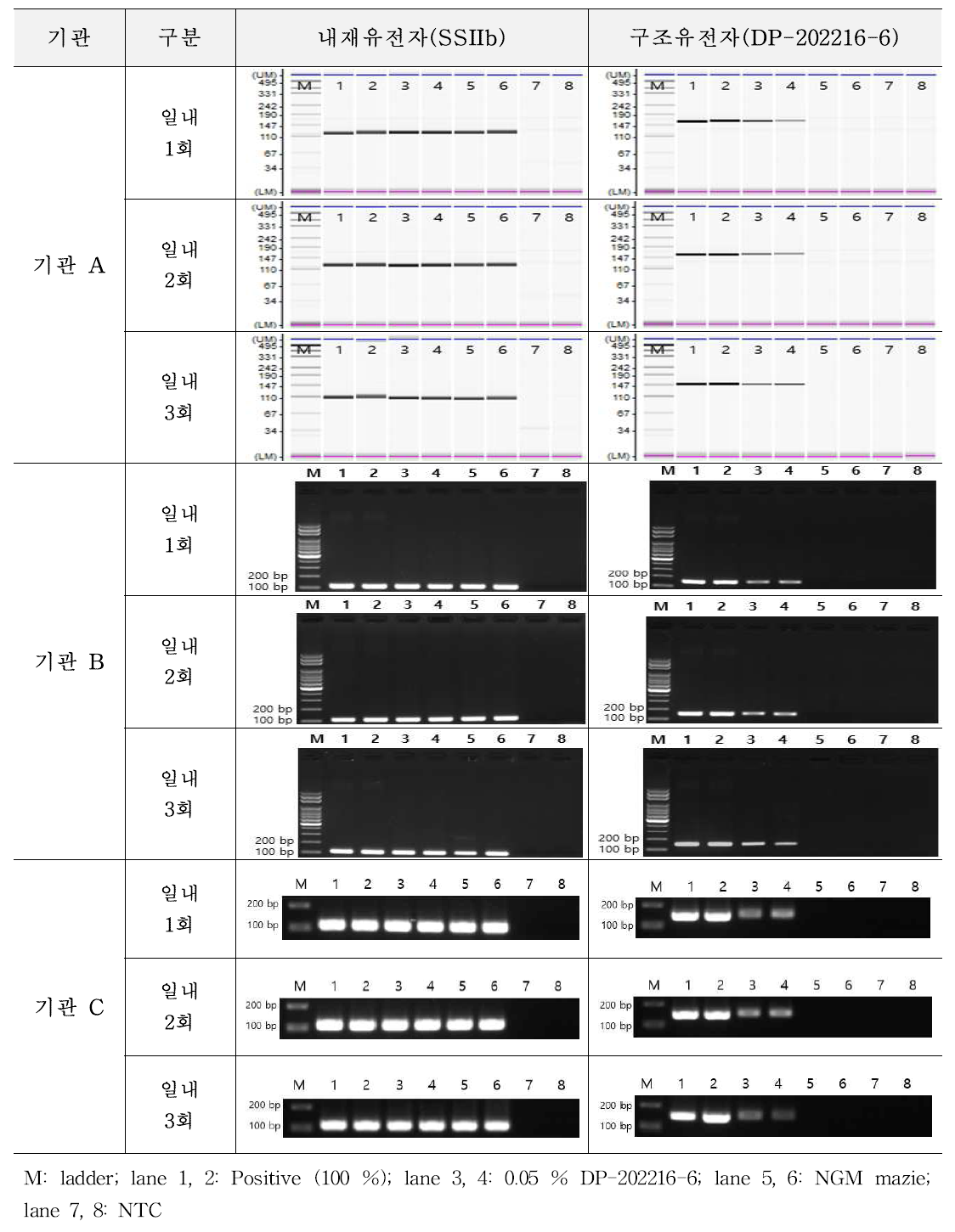 유전자변형 옥수수 DP-202216-6에 대한 시험법의 반복성 시험 결과