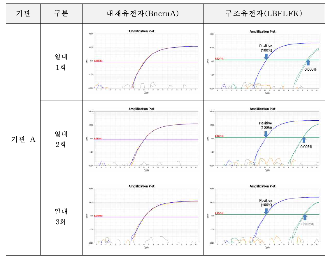 유전자변형 카놀라 LBFLFK에 대한 시험법의 반복성 시험 결과(기관 A)