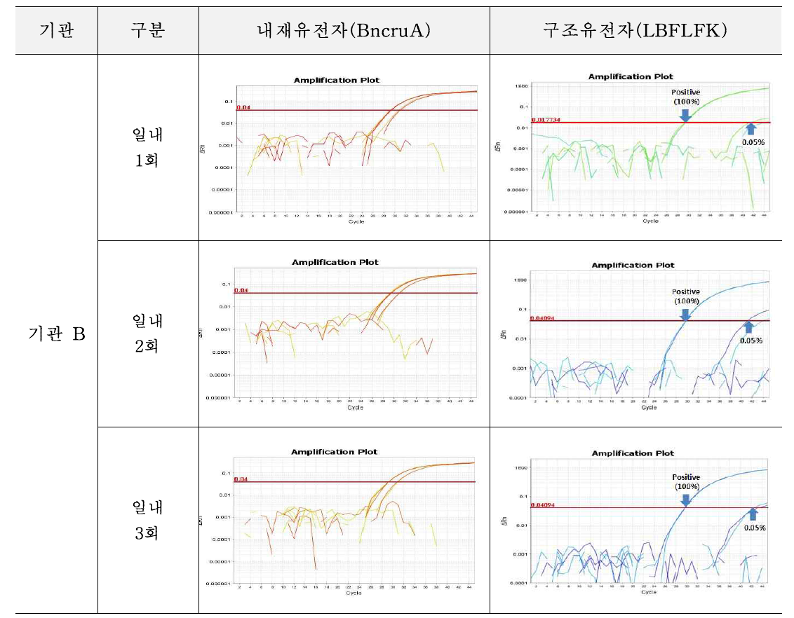 유전자변형 카놀라 LBFLFK에 대한 시험법의 반복성 시험 결과(기관 B)