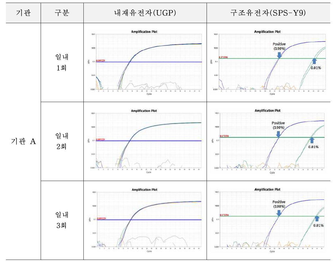 유전자변형 감자 SPS-Y9에 대한 시험법의 반복성 시험 결과(기관 A)