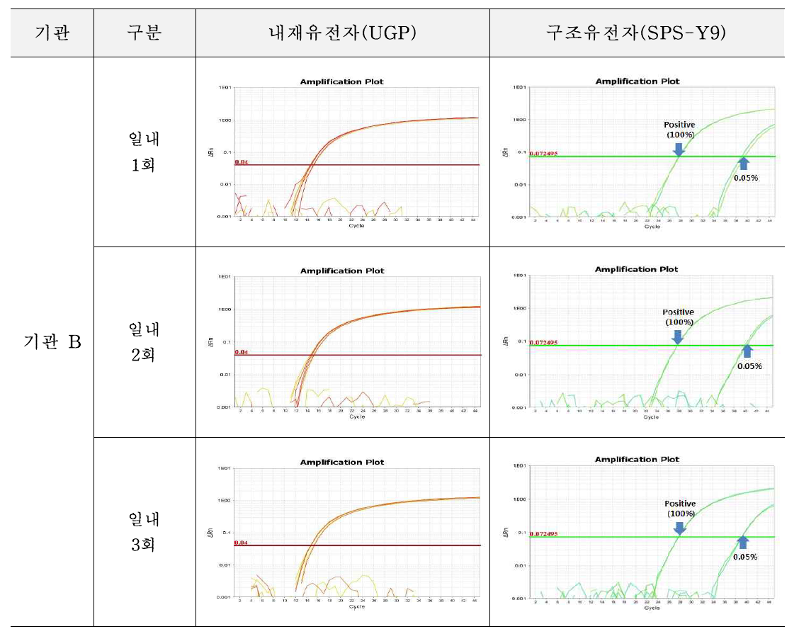 유전자변형 감자 SPS-Y9에 대한 시험법의 반복성 시험 결과(기관 B)