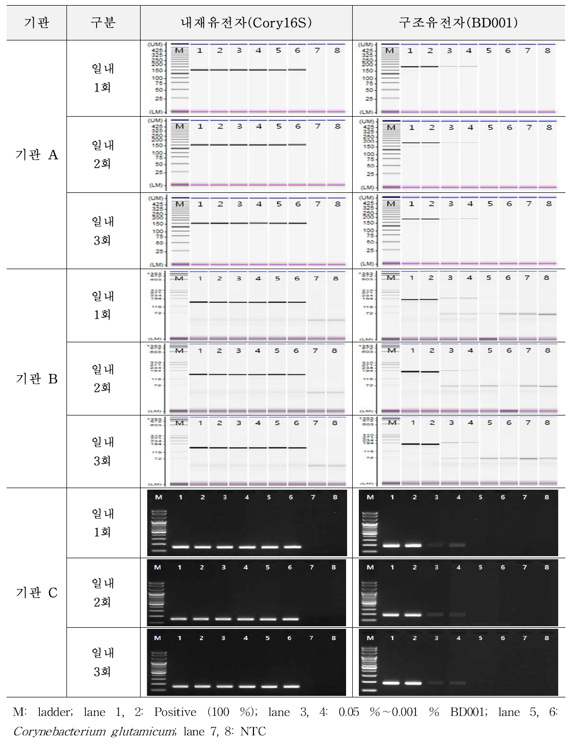 유전자변형 미생물 BD001에 대한 시험법의 반복성 시험 결과