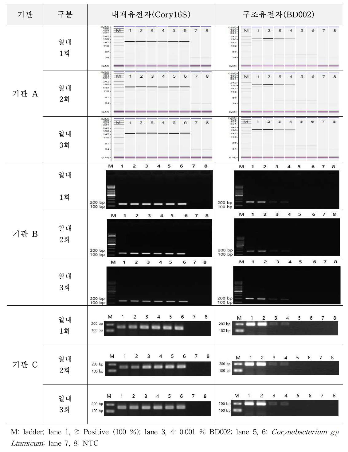 유전자변형 미생물 BD002에 대한 시험법의 반복성 시험 결과