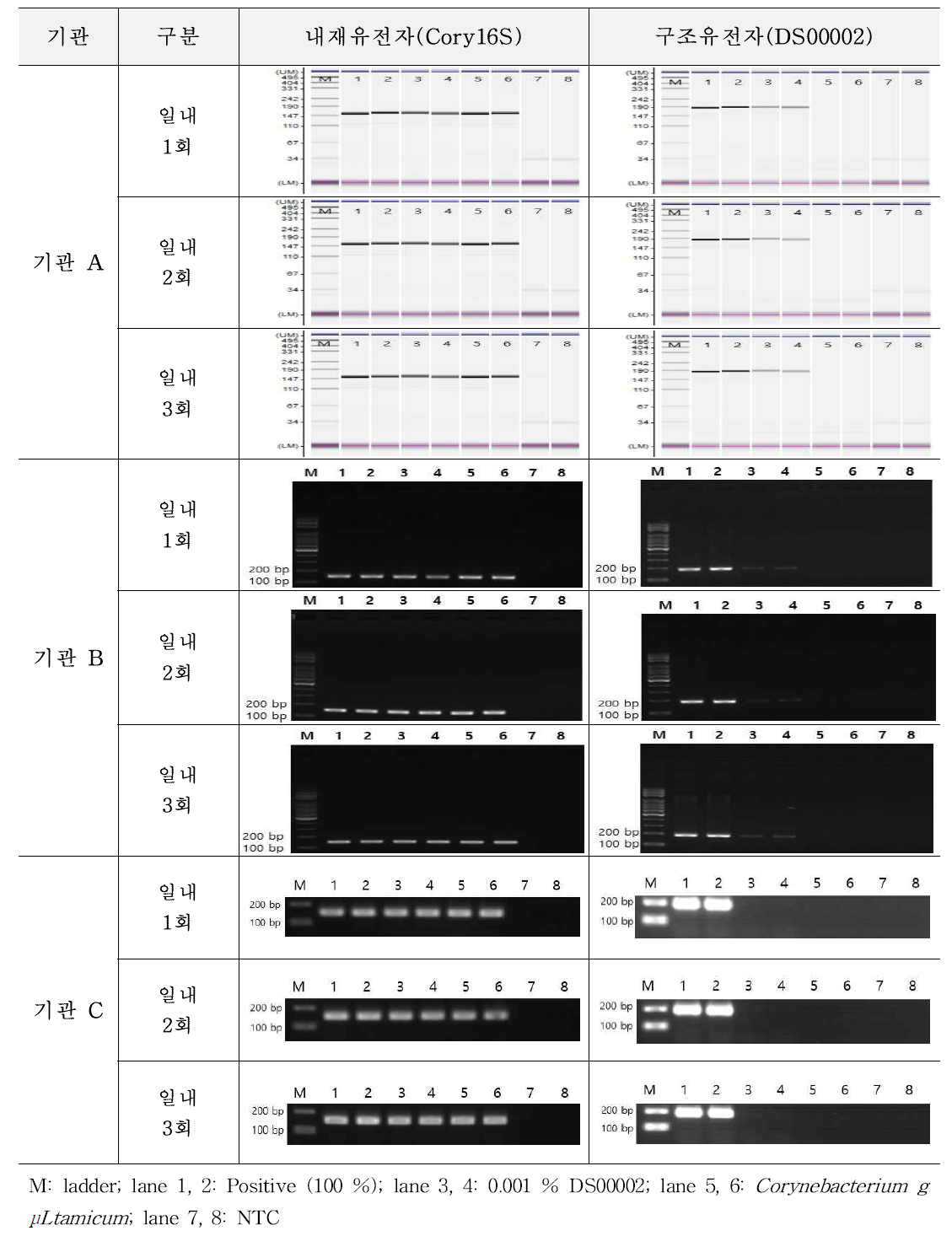 유전자변형 미생물 DS00002에 대한 시험법의 반복성 시험 결과