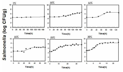 온도별 제육 도시락 혼합의 살모넬라 생장패턴