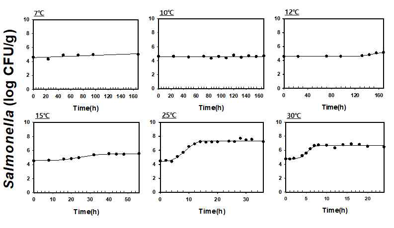 온도별 참치마요 삼각김밥의 살모넬라 생장패턴