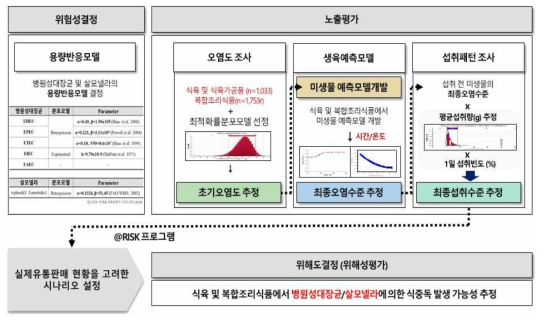 식품 중 식중독균의 위해성 평가(예시)