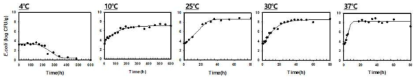 온도별 소고기의 병원성대장균 생장패턴