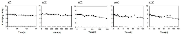 온도별 생햄의 병원성대장균 사멸패턴