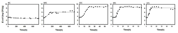 온도별 햄버거패티의 병원성대장균 생장패턴