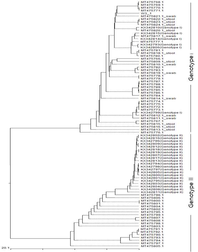 지하수 crAssphage 염기서열 phylogenetic tree