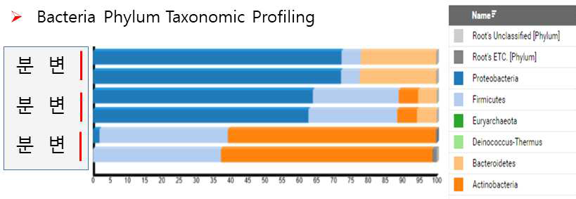 분변 bacteria phylum 분포 메타게놈 분석 결과(1차년도)