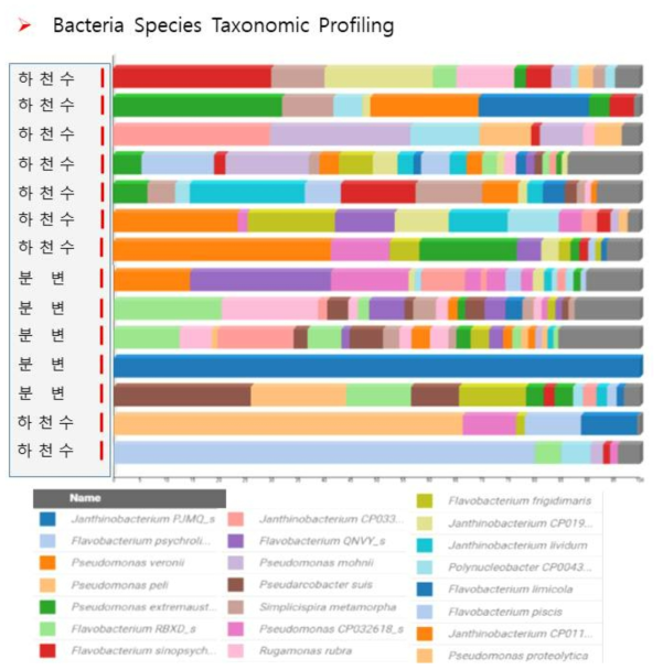 시료별 bacteria species 분포 메타게놈 분석 결과(2차년도)