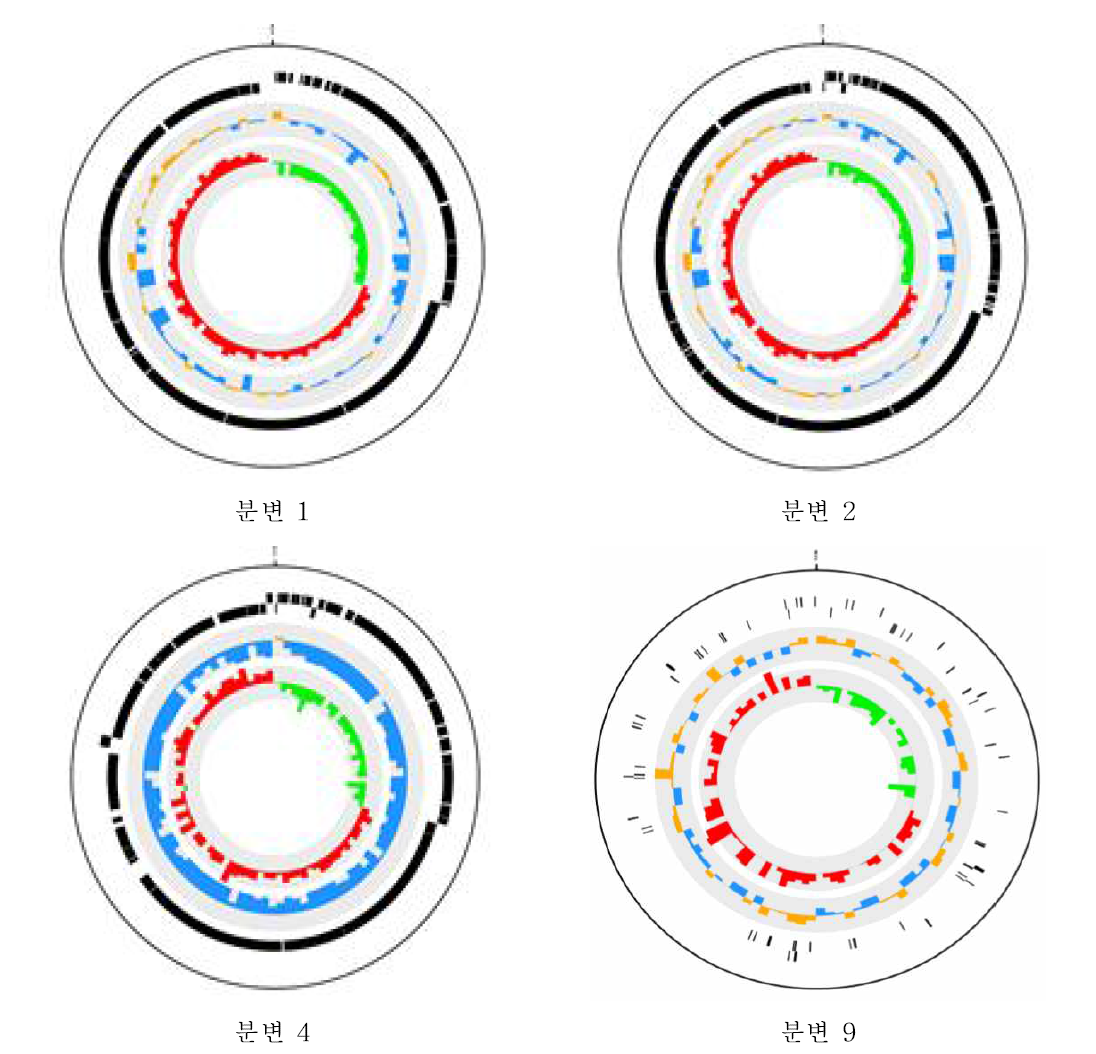 분변 crAssphage genome map