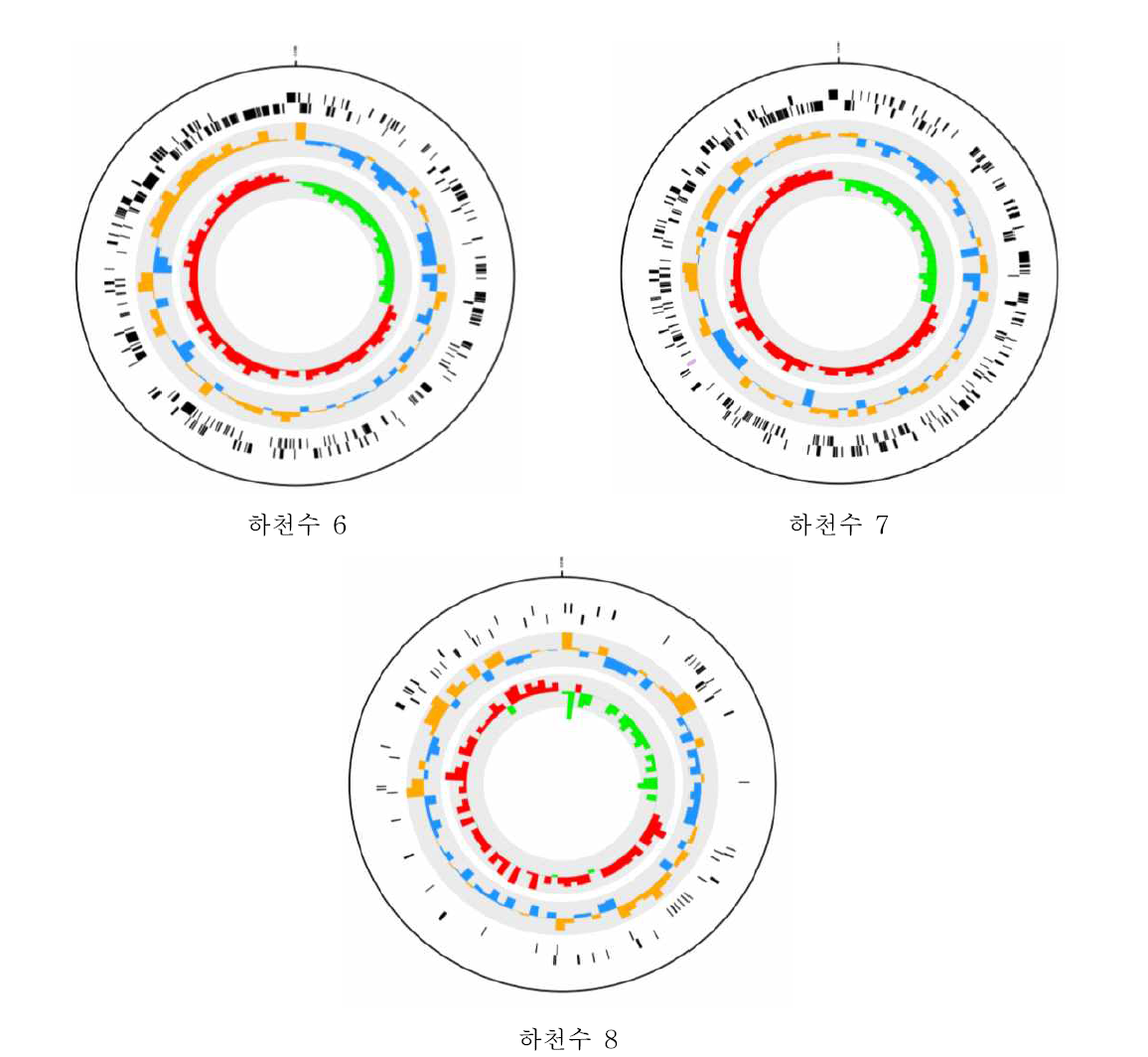 하천수 crAssphage genome map