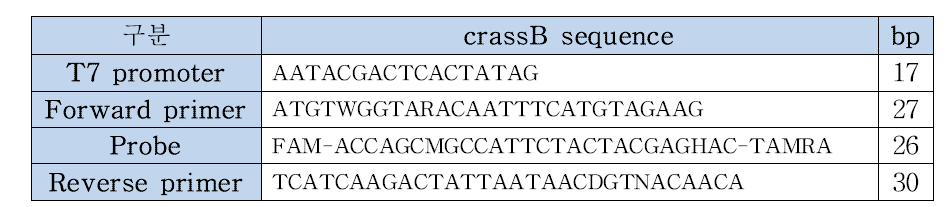 crAssphage Realtime PCR 양성대조군 gene 합성 sequence(crassB)