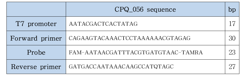 crAssphage Realtime PCR 양성대조군 gene 합성 sequence(CPQ_056)