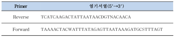 crAssphage conventional PCR primer 염기서열