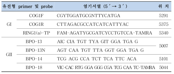 노로바이러스 Duplex Realtime RT-PCR의 primer/probe 염기서열