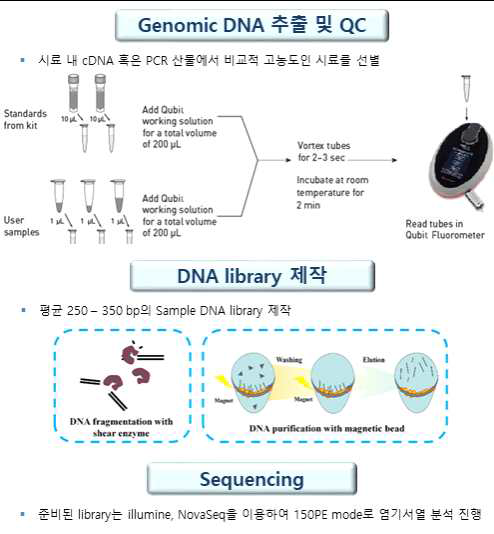 Genomic DNA 추출, QC, Library, Sequencing 과정