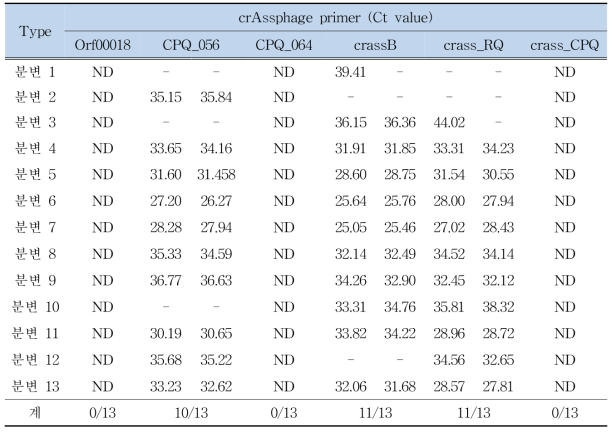 crAssphage 유전자 검출 6종 primer/probe Ct value 비교
