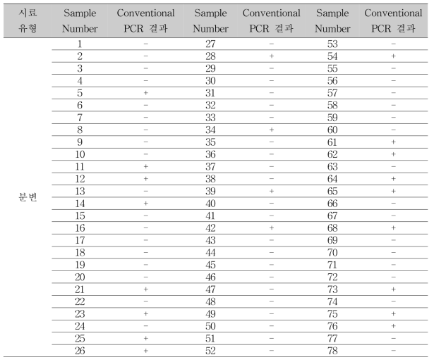 사람분변에서의 crAssphage conventional PCR 결과