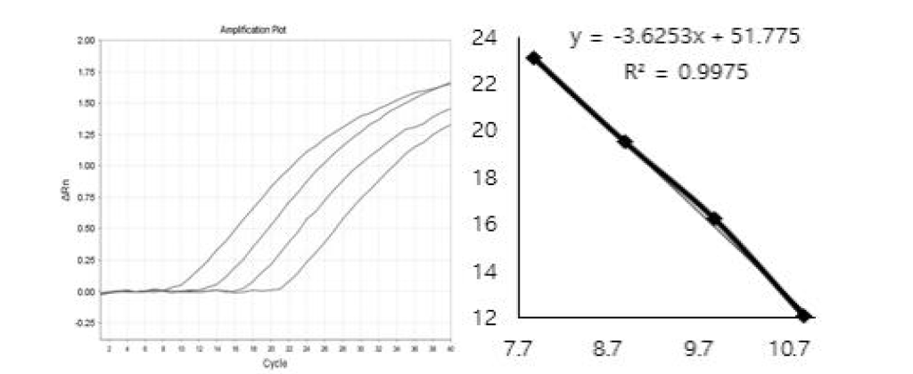 crAssphage crassB 양성대조군 Realtime 결과 및 standard curve