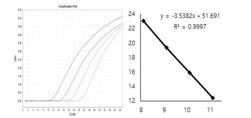 crAssphage CPQ_056 양성대조군 Realtime 결과 및 standard curve