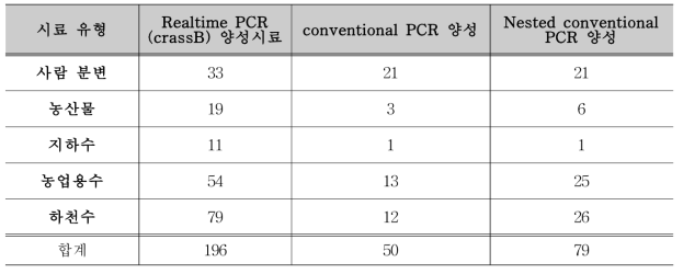 crAssphage nested conventional PCR 결과