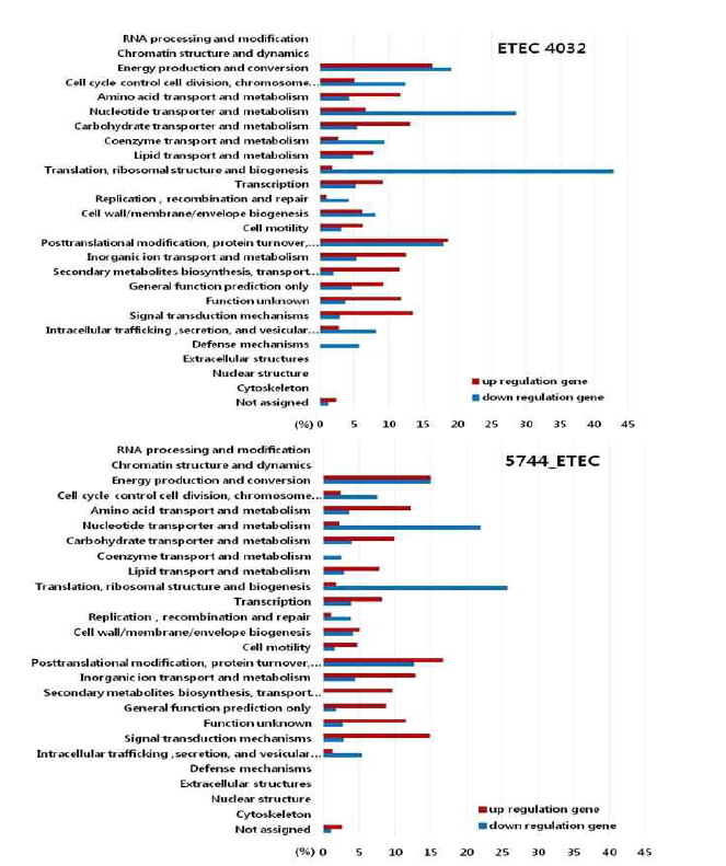 ETEC 4032 및 ETEC 5744 균주의 산처리 시 DEG들의 COG analysis