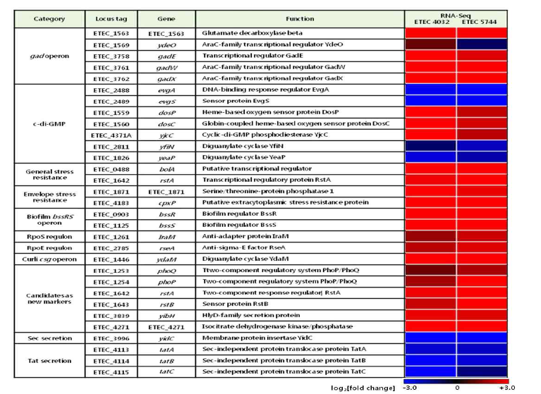 ETEC 4032와 ETEC 5744에서 pH2.5 처리 시 특이적으로 발현되는 DEG 선별