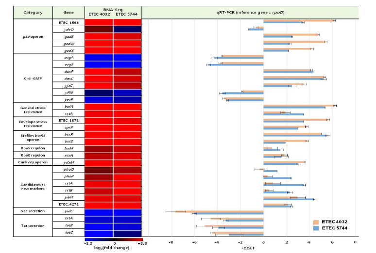 RNS-Seq DEG 대상 qRT-PCR 이용한 pH2.5에서의 발현 양상 분석