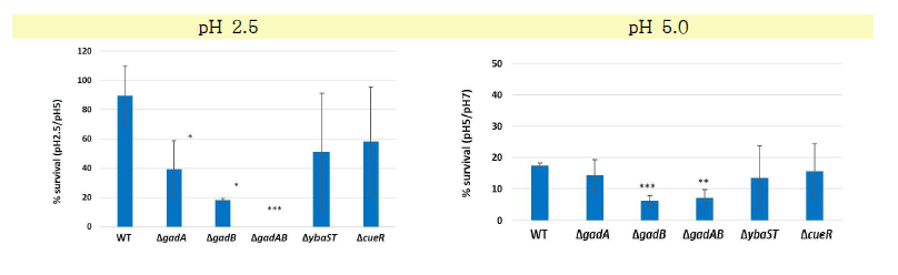내산성 비교 (pH5.0, pH2.5)