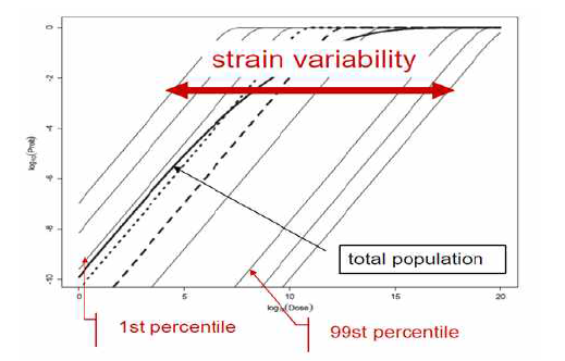 Strains별 상이한 용량반응 관계