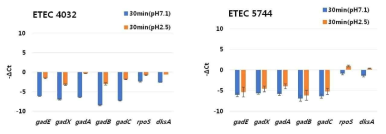 pH 2.5, 30 min 처리 시 ETEC 균주의 내산성 관련 유전자 발현 비교