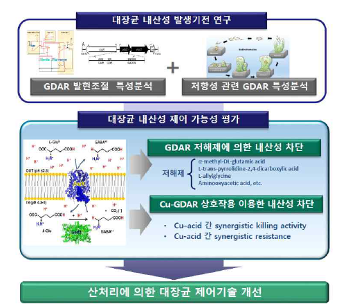 병원성대장균 내산성 기전규명 및 내산성 발생차단을 통한 저감화 연구에 대한 연구추진계획