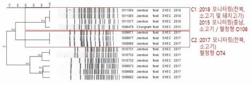 EHEC의 PFGE 분석 결과