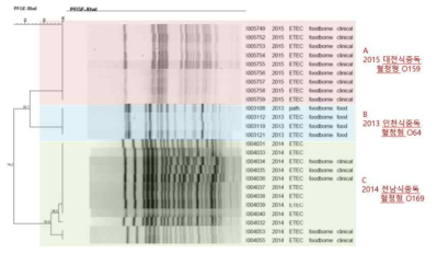 식중독사고 균주에 대한 PFGE 분석