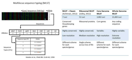 MLST, rMLST, cgMLST, wgMLST 차이