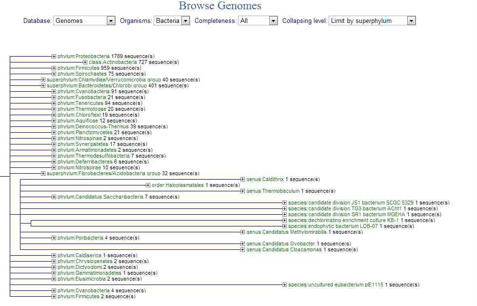 The browse window of NCBI microbial genomes site