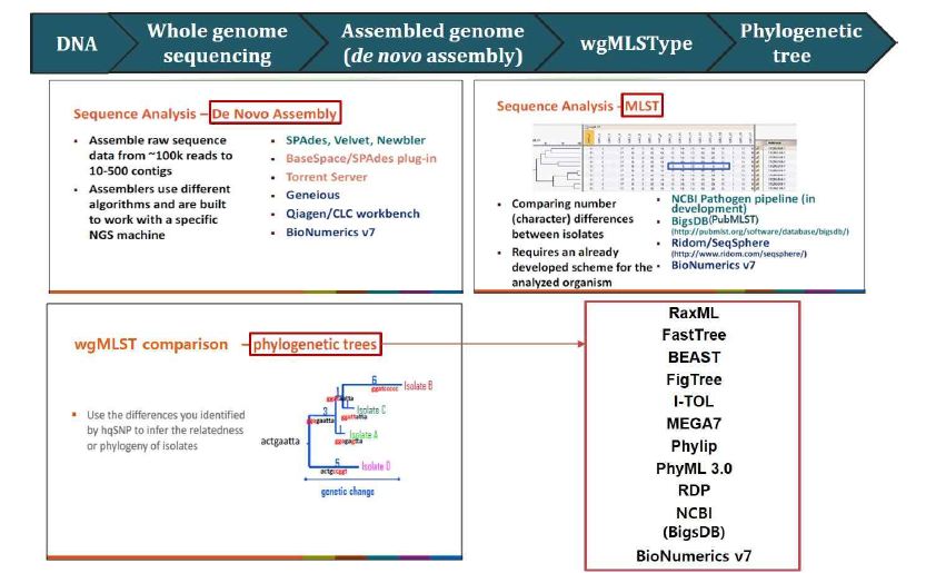 wgMLST 분석도구 비교․분석
